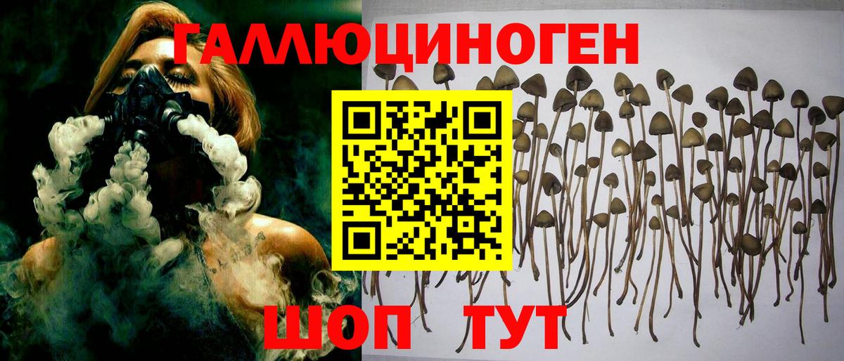 Псилоцибиновые грибы мухоморы  Вход с VPN  Галлюциногенные грибы Cubensis  Махачкала 